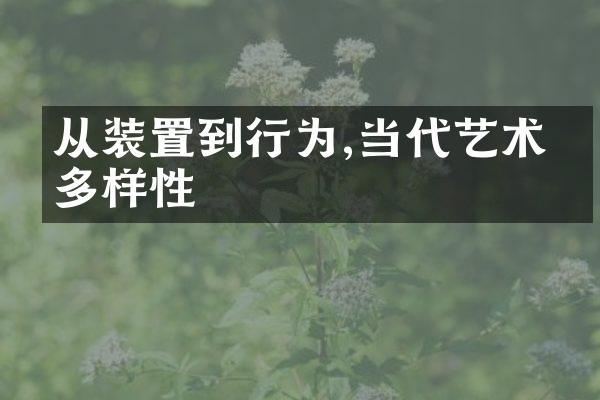 从装置到行为,当代艺术的多样性