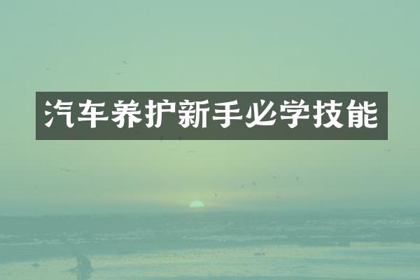 汽车养护新手必学技能