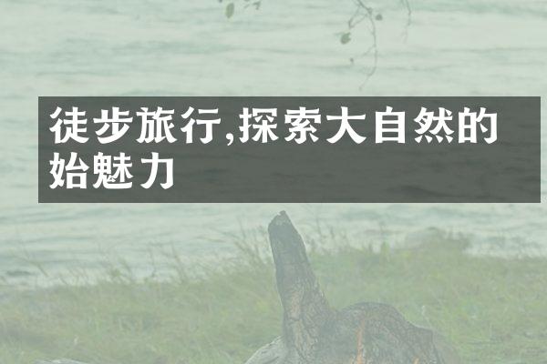 徒步旅行,探索大自然的原始魅力