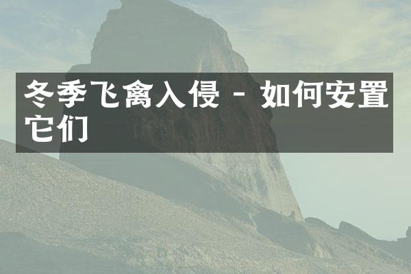 冬季飞禽入侵 - 如何安置它们