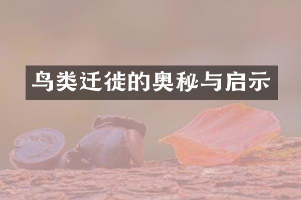 鸟类迁徙的奥秘与启示
