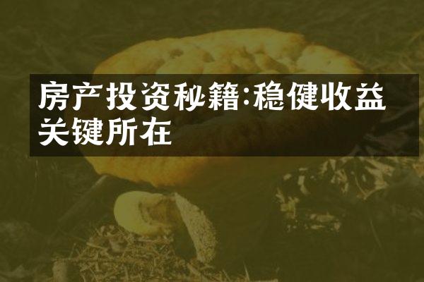 房产投资秘籍:稳健收益的关键所在