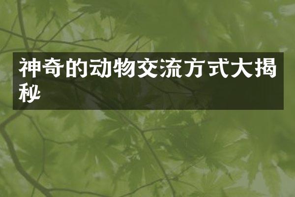 神奇的动物交流方式大揭秘