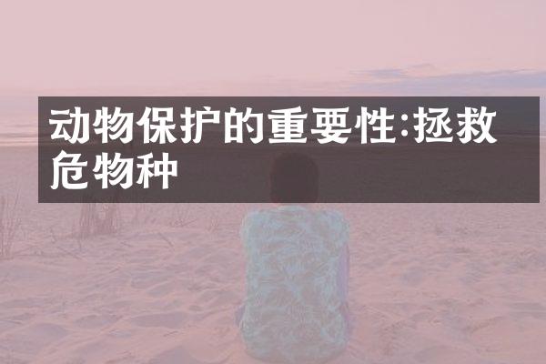 动物保护的重要性:拯救濒危物种