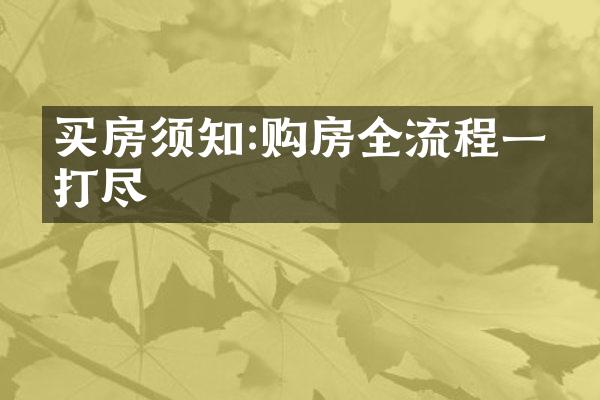 买房须知:购房全流程一网打尽