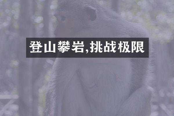登山攀岩,挑战极限