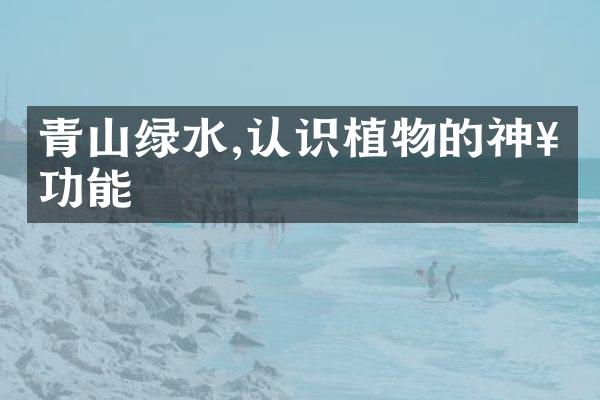 青山绿水,认识植物的神奇功能