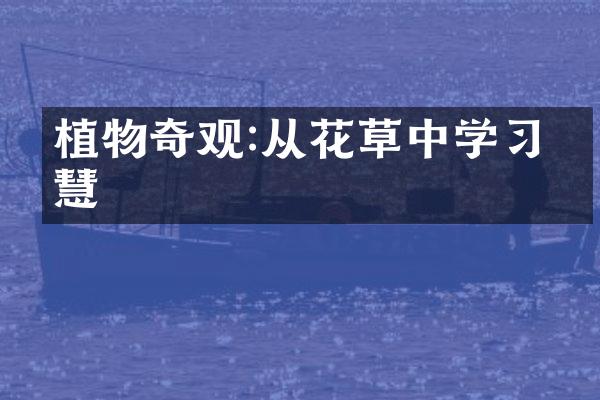 植物奇观:从花草中学习智慧