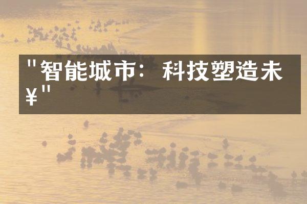 "智能城市：科技塑造未来"