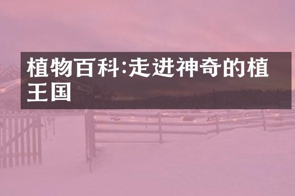 植物百科:走进神奇的植物王国