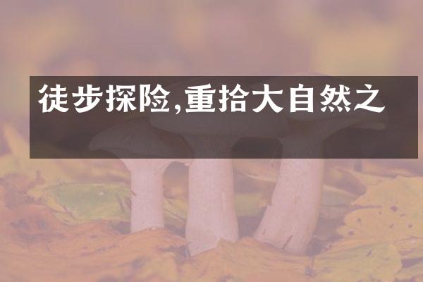 徒步探险,重拾大自然之乐