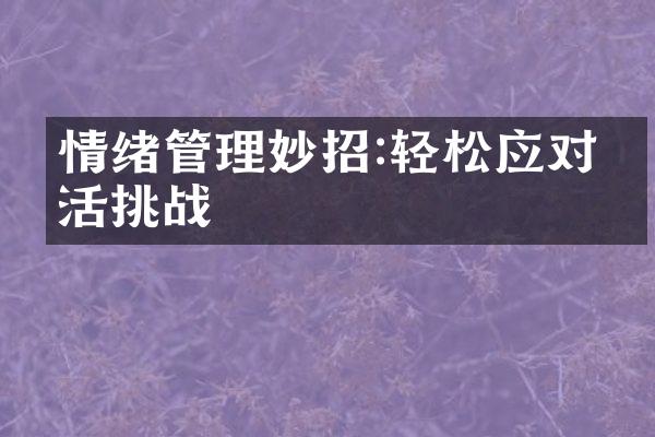 情绪管理妙招:轻松应对生活挑战
