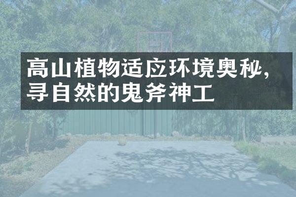 高山植物适应环境奥秘,探寻自然的鬼斧神工
