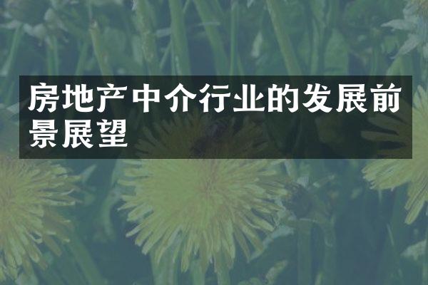 房地产中介行业的发展前景展望