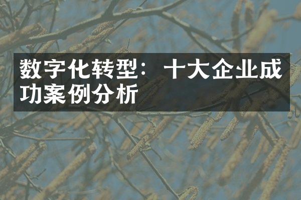 数字化转型：十大企业成功案例分析