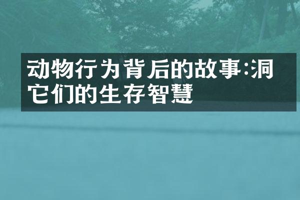 动物行为背后的故事:洞察它们的生存智慧