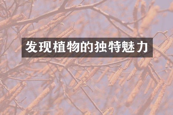 发现植物的独特魅力