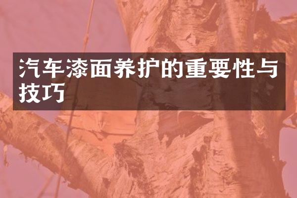 汽车漆面养护的重要性与技巧