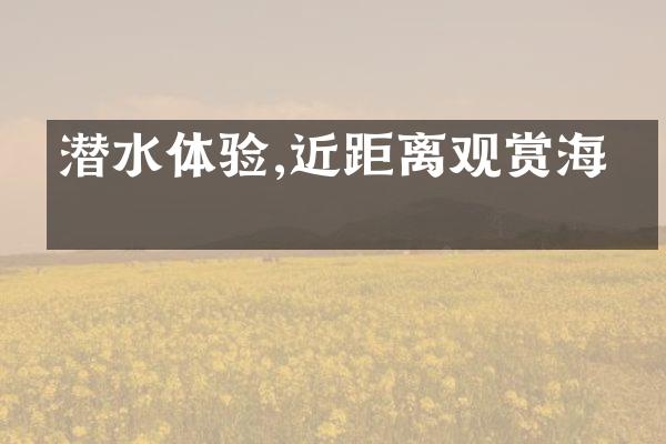 潜水体验,近距离观赏海洋