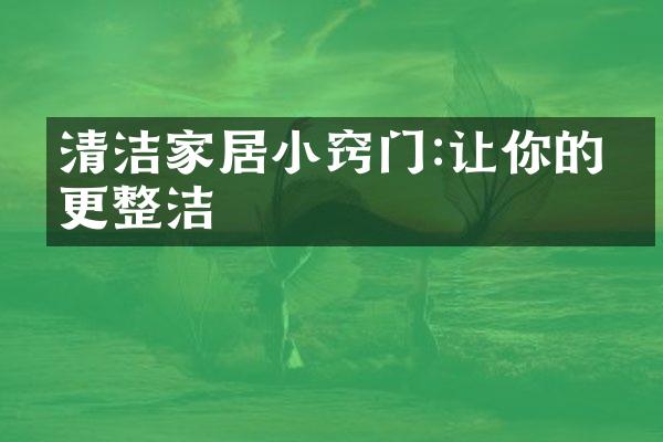 清洁家居小窍门:让你的家更整洁