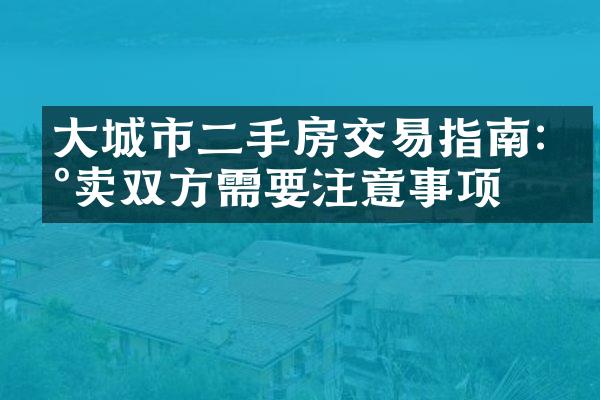 大城市二手房交易指南:买卖双方需要注意事项