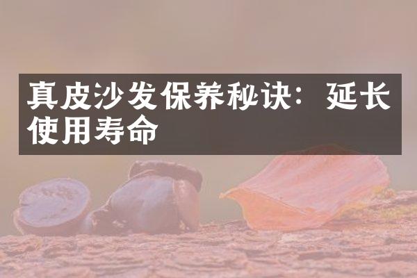 真皮沙发保养秘诀：延长使用寿命
