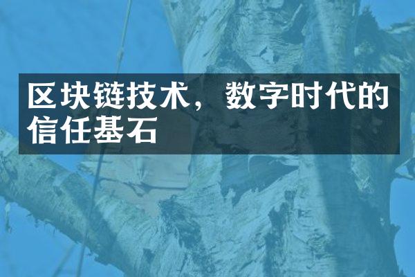 区块链技术，数字时代的信任基石