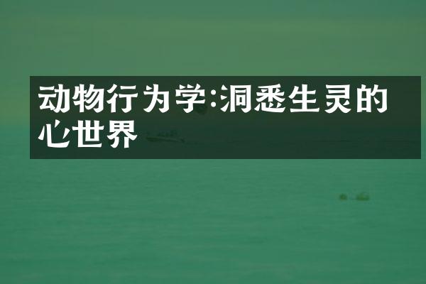 动物行为学:洞悉生灵的内心世界