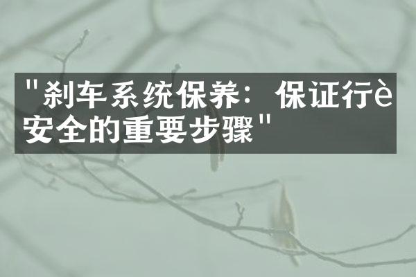 "刹车系统保养：保证行车安全的重要步骤"