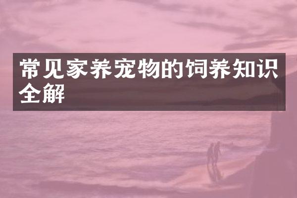常见家养宠物的饲养知识全解