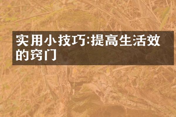 实用小技巧:提高生活效率的窍门
