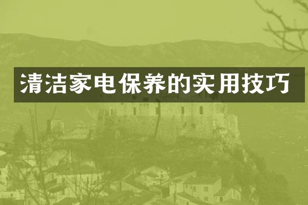 清洁家电保养的实用技巧