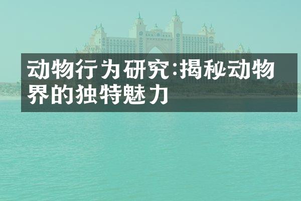 动物行为研究:揭秘动物世界的独特魅力