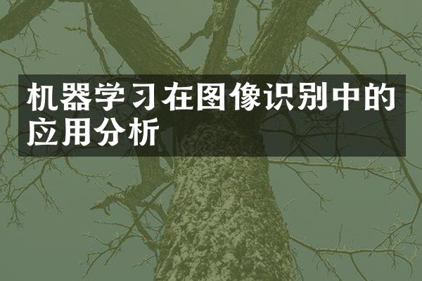 机器学习在图像识别中的应用分析