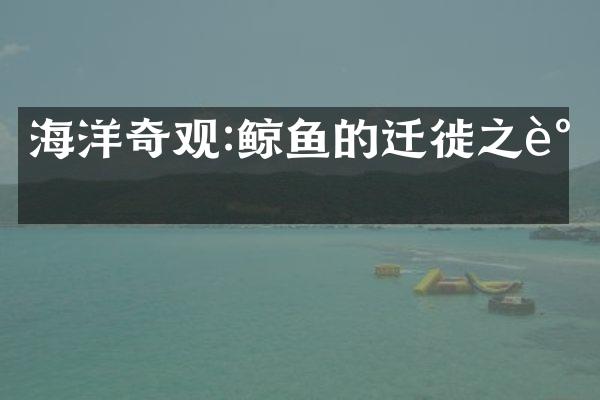 海洋奇观:鲸鱼的迁徙之谜