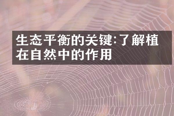 生态平衡的关键:了解植物在自然中的作用