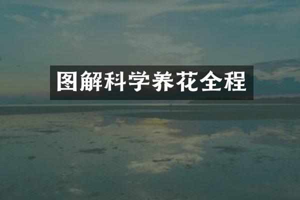 图解科学养花全程