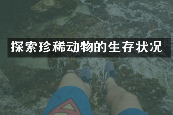 探索珍稀动物的生存状况
