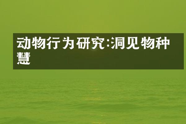 动物行为研究:洞见物种智慧