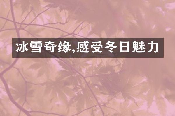 冰雪奇缘,感受冬日魅力