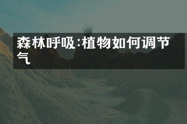 森林呼吸:植物如何调节空气