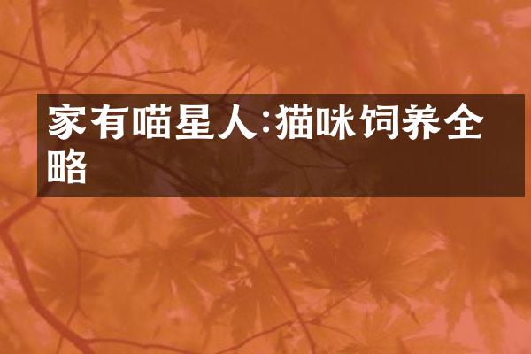 家有喵星人:猫咪饲养全攻略