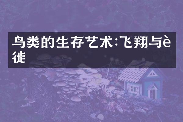 鸟类的生存艺术:飞翔与迁徙