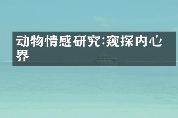 动物情感研究:窥探内心世界