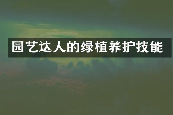 园艺达人的绿植养护技能