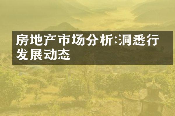 房地产市场分析:洞悉行业发展动态