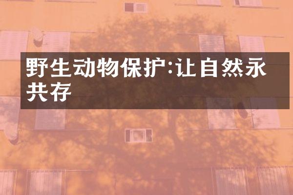 野生动物保护:让自然永续共存