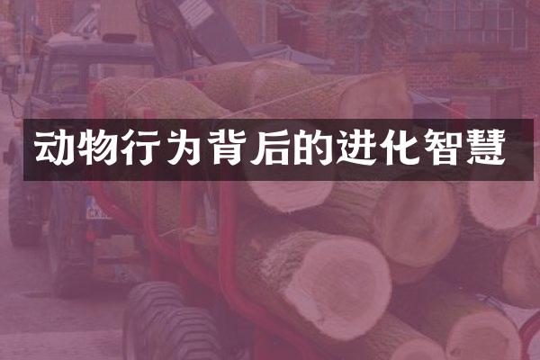 动物行为背后的进化智慧