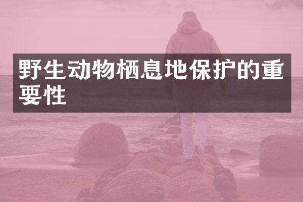 野生动物栖息地保护的重要性