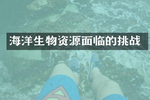 海洋生物资源面临的挑战